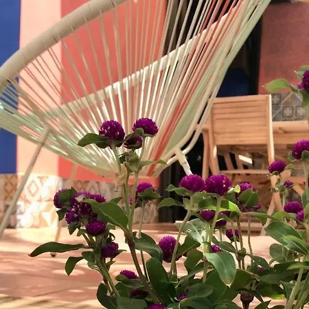 Casa Vivaqi Tenerife Semesterbostad Granadilla De Abona