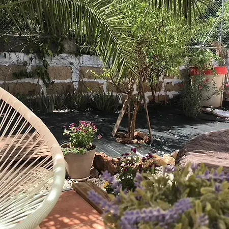 Casa Vivaqi Tenerife Hébergement de vacances *